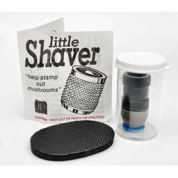 Little Shaver