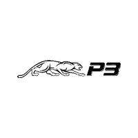 P3 Series